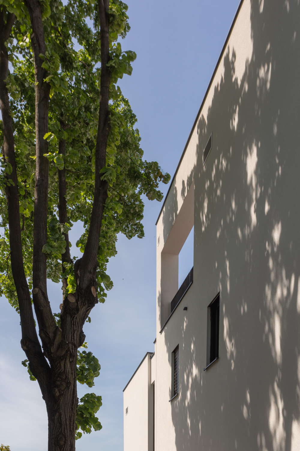 Luxury family house in Senjak, Belgrade — Senjak Residences photo 6